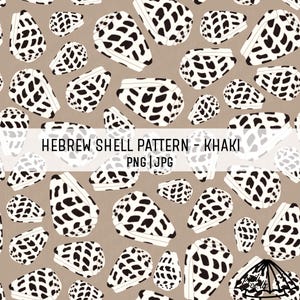 Hebrew Shell Pattern - Khaki - Hawaii Shell Pattern - Fabric Pattern PNG - Hawaii Sublimation - Ocean Themed Repeat - Shell Digital Paper