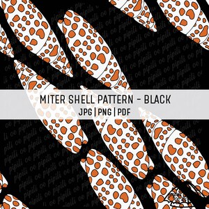 Könnte beinhalten: Ein sich wiederholendes Muster von weißen Mitra-Muscheln mit orangefarbenen Flecken und schwarzen Umrissen auf schwarzem Hintergrund. Das Design enthält den Text "MITER SHELL PATTERN - BLACK" und Dateityp-Indikatoren.