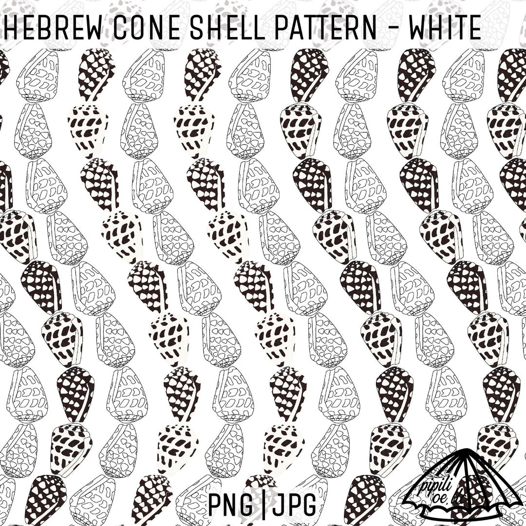 Hebrew Cone Shell Pattern - White - Hawaii Shell Pattern - Fabric ...