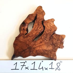 17&quot; Olive Wood Slab, Unfinished live edge slab for craft, Live Edge Raw edged wood art, Olive wood slice for wood arts, Epoxy resin raw wood
