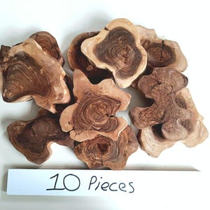 10 pieces Olive Wood, Live Edge olive wood slab, olive wood for rustik decor, Unfinished olive wood slab for diy, Olive wood for wood art