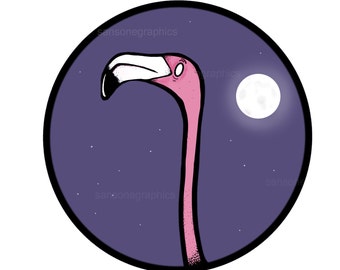 FENICOTTERO ROSA, luna, stelle o sole. PNG.