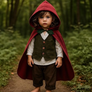 Medieval Cosplay Costume, Handcrafted Medieval Suit for Boys, Toddler Renaissance Outfit, Ring Bearer Costume, Halloween Costume, Baby Gift