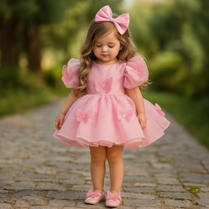 Pink Butterfly First Birthday Dress and Matching Shoes, Perfect for Birthday or Special Occasions, Tutu Dress, Elegant Dress, Prom Dress