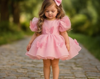 Baby Girl Butterfly First Birthday Dress & Shoes: Baby Girl Birthday Outfit, Girl Tulle Party Outfit