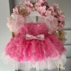 Vestido para el primer cumpleaños de niña, vestido de tutú rosa bebé, vestido de niña de las flores, para ocasiones especiales, vestido de fiesta para niña pequeña, vestido de princesa