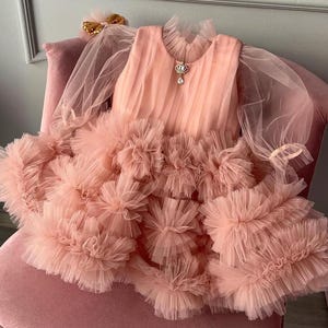 Puede incluir: Un vestido de tul rosa con falda de volantes y mangas largas. El vestido tiene un delicado diseño floral y un pequeño broche en forma de corona.