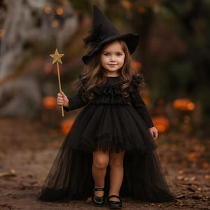 Toddler Girl Witch Costume, Whimsical Witch, Star Gothic Fairy Dress, Girl Halloween Costume, Baby Halloween Costume, Soft Witch Costume