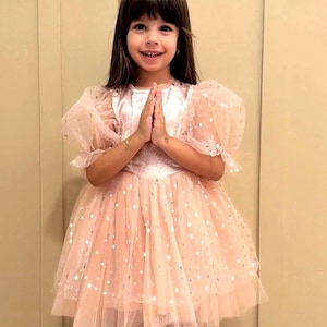 Dusty Pink Birthday Dress, First Birthday Dress, Girl Ball Gown Baby Pagent Dress Tulle Flower Girl Dress, Baby Birthday Outfit Puffy Sleeve