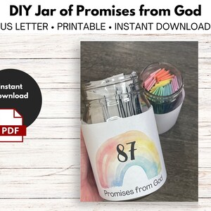 DIY Jar of God's Promises - Christian Birthday Present - 100 NIV Bible Scriptures -  40-100 - Instant Download - Printable - Do It Yourself