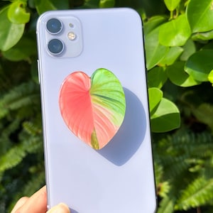 Rare Monstera Albo Variegated Plant Phone Grip Holder, Green Leaf Phone Grip , Plant lovers Phone Stand, Phone Accessories, Christmas Gift