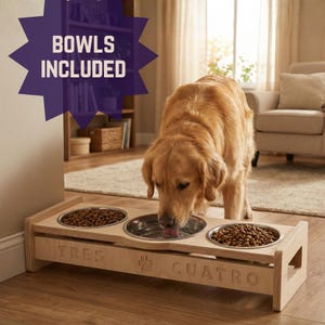 Comedouro elevado personalizado com tigelas inclinadas, suporte triplo para tigelas de cachorro, estação de alimentação ergonômica, ideia de presente para cães