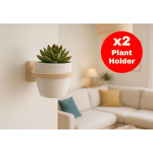 Portavasi (set da 2) piccolo e minimalista in compensato di betulla - fioriera da parete per interni