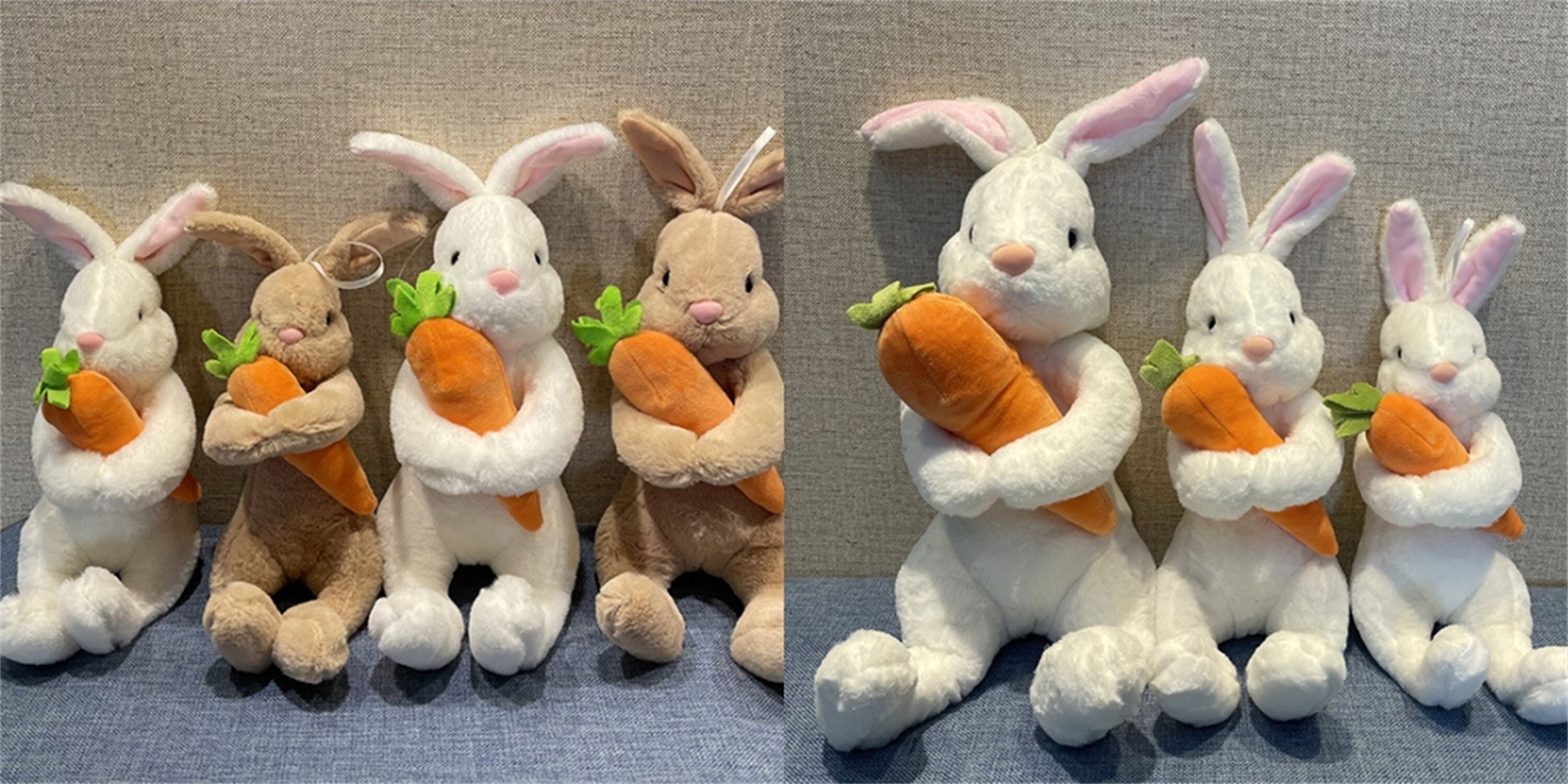 Mignon lapin brun/blanc tenant un jouet en peluche de carotte -  France