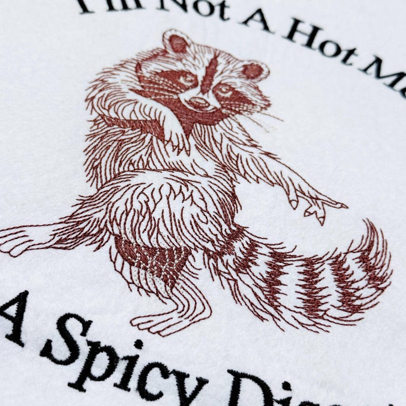 I'm Not A Hot Mess Raccoon Funny Saying Machine Embroidery Digital Downlaod