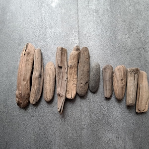 11 sea driftwood from the Baltic Sea Natural rustic decor Driftwood art Shelf decor Decorative driftwood Home decor Root art Beach decor