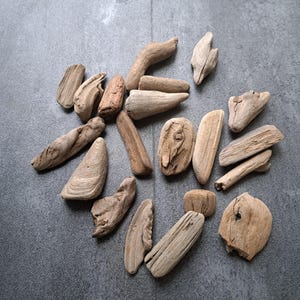 Decorative driftwood for home decor Set of 20 small unique driftwood pieces 2&quot;- 3&quot; from Baltic Sea Driftwood art Coastal decor Beach decor