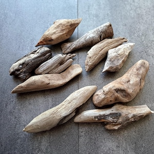 Baltic Driftwood Pieces: Coastal Decor, Terrarium Wood (3-6 inch, Set of 10)