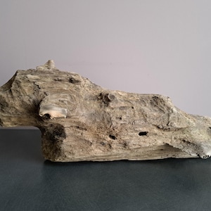 Decorative big driftwood from Baltic Sea Terrarium decor Wood sculpture Large driftwood Driftwood art Natural rustic home decor