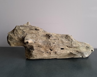 Decorative big driftwood from Baltic Sea Terrarium decor Wood sculpture Large driftwood Driftwood art Natural rustic home decor