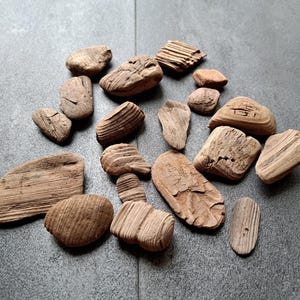 Set of 20 small unique driftwood pieces 1&quot;- 3&quot; from Baltic Sea Decorative driftwood Home decor Driftwood art Coastal decor Beach decor