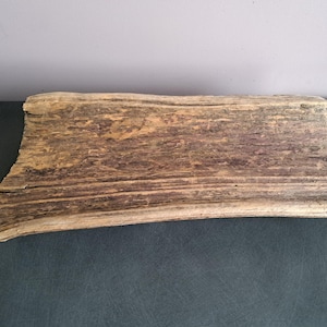 Decorative big driftwood from Baltic Sea Terrarium decor Wood sculpture Large driftwood Driftwood art Natural rustic home decor
