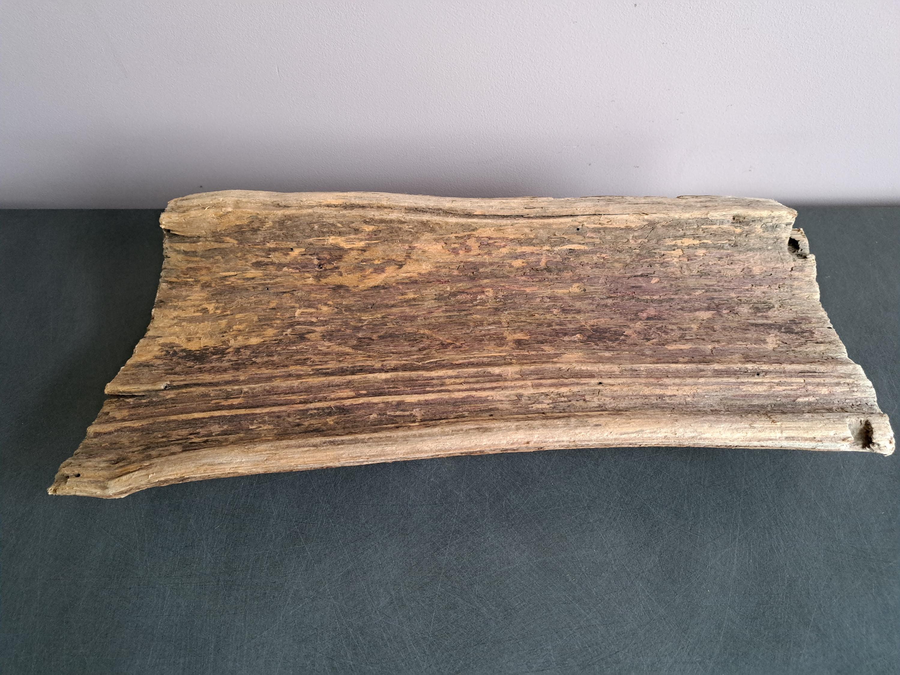 Decorative big driftwood from Baltic Sea Terrarium decor Wood sculpture Large driftwood Driftwood art Natural rustic home decor