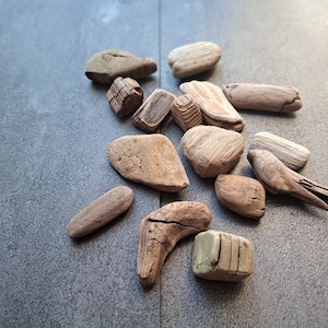 Set of 15 small unique driftwood pieces 1&quot;- 2.5&quot; from Baltic Sea Decorative driftwood Home decor Driftwood art Coastal decor Beach decor