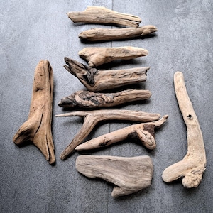 Baltic Sea Driftwood Set: 10 Rustic Coastal Decor Pieces (4.5-7.5in