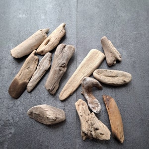 Baltic Sea Driftwood Set: 2-5&quot; Unique Coastal Decor, DIY Art Supply