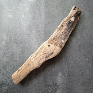 Large driftwood from Baltic Sea Shelf decor Decorative driftwood Home decor Driftwood art  Beach decor Natural rustic decor Wood sculpture