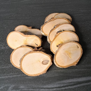 Natural birch wood slices for crafts Wedding decor DIY projects Rustic unfinished tree slices Natural wooden coasters Wood rounds with bark