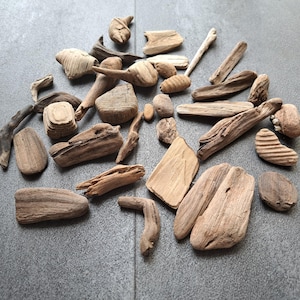 Set of 35 small unique driftwood pieces 1&quot;- 3&quot; from Baltic Sea Decorative driftwood Home decor Driftwood art Coastal decor Beach decor