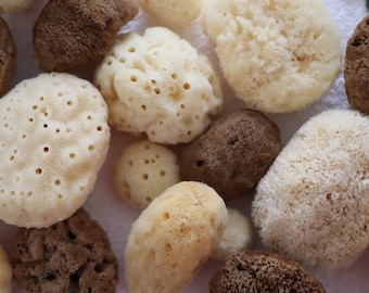 Natural Sea Sponge: 100% natural, hypoallergenic, for all skin types. For exfoliation, cosmetic, bathing, showering, newborn and older skin.