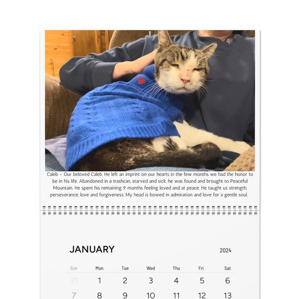 Peaceful Mountain 2024 Wall calendar, Cat sanctuary, supportive Merchandise, Love of cats, Christmas present, donation, cat rescue