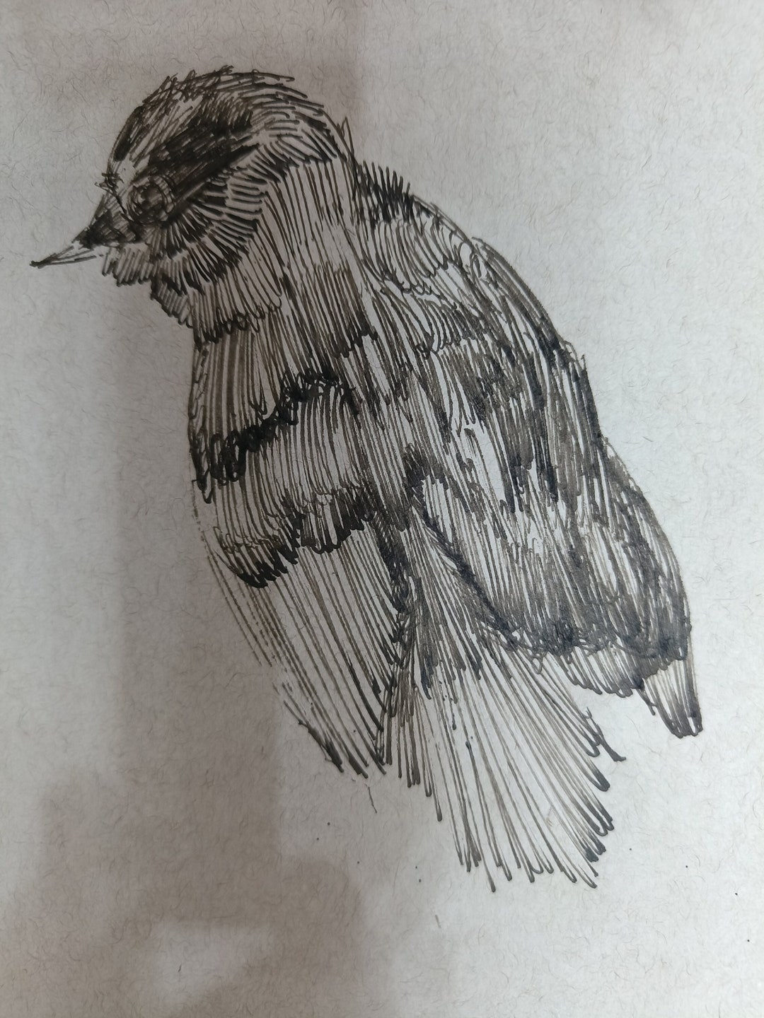 Original Work Fine Art Ink Drawing Landscape Sun Sky Etsy