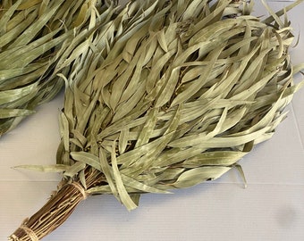 10 Eucalyptus brooms for sauna, banya, oak whiskey, birch