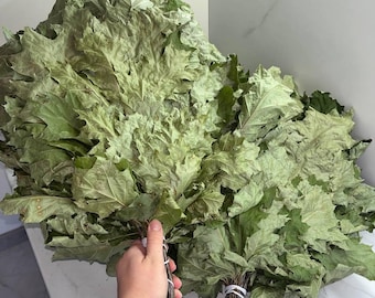 2 Oak whiskeys sauna banya venik broom, sauna whisk, sauna accessories, eco NEW SEASON 2025 Ukrainian