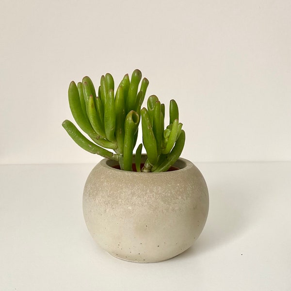 Beton Sukkulenten Topf | Kugelvase | Kleiner Blumentopf | Handmade | 5,5 x 9 cm