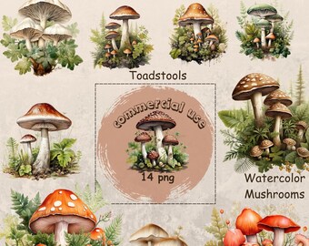 Mushroom Clipart | Commercial Use | Toadstool clipart | Mushroom Bundle | Digital Download | Mystical Mushroom | Botanical Mushroom