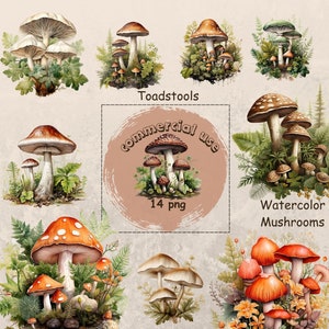 Clipart champignon | Utilisation commerciale | Clipart champignon vénéneux | Lot de champignons | Téléchargement numérique | Champignon mystique | Champignon botanique
