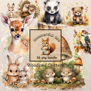 Bundle de cliparts animaux de la forêt - aquarelle - PNG transparents - renard ours cerf hérisson pour décoration de chambre d'enfant