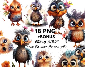 Lustiger Vogel Clipart, Aquarell verrücktes Tier PNG (digitaler Download)