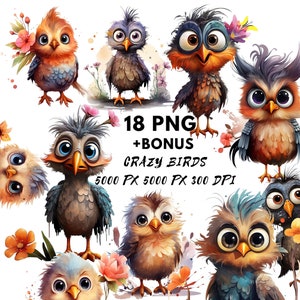 Imágenes prediseñadas de pájaros divertidos, Descarga digital, Imágenes prediseñadas de flores de animales locos, 18 imágenes de alta calidad, Elemento caprichoso, Artesanía de papel, Diario basura