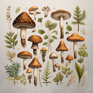 Champignon bohème | Utilisation commerciale | Pack d'autocollants pour agenda | Plante des bois | Champignon magique de la forêt boisée | Forêt PNG | Téléchargement instantané |