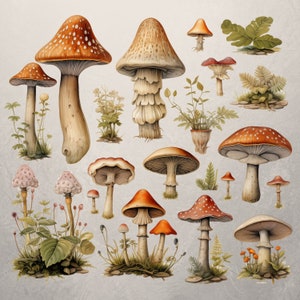 Clipart forêt | Aquarelle de champignons champignons | Champignons mignons | Utilisation commerciale | Clipart forêt | Clipart automne | Clipart Forêt