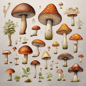 Clipart forêt | Aquarelle de champignons champignons | Champignons mignons | Utilisation commerciale | Clipart forêt | Clipart automne | Clipart Forêt