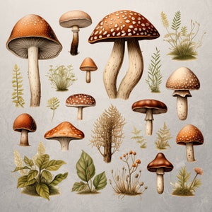 Clipart champignon aquarelle champignon vénéneux automne cliparts d'action de grâces forêt d'automne champignon automne forestier PNG