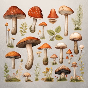 Clipart forêt | Téléchargement instantané | Utilisation commerciale | Forêt enchantée | Clipart Champignon | PNG des bois | Mignon champignon png