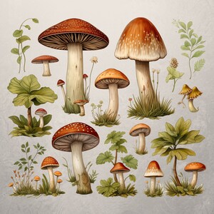 Téléchargement numérique | Clipart aquarelle | Aquarelle Champignons Woodland Clipart | Pack d'autocollants pour agenda | Clipart Cottagecore | Images clipart